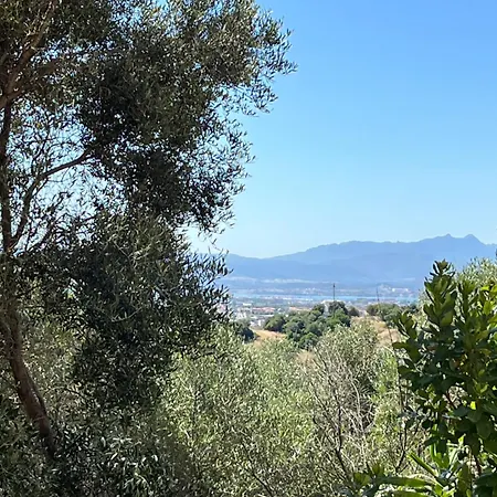 Venti Di - Levante & Grecale Lägenhet *