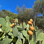 Con Vista Panoramica A -levante & Grecale Con Giardino E Parcheggio Όλμπια