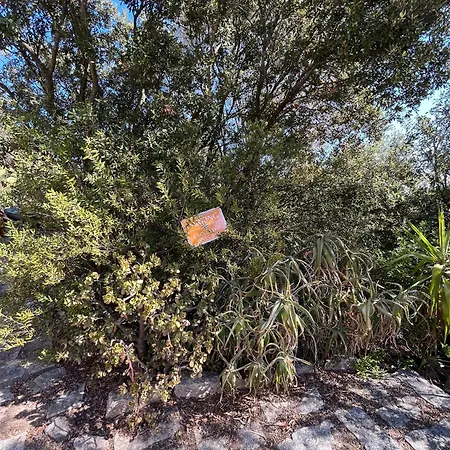 Con Vista Panoramica A -levante & Grecale Con Giardino E Parcheggio * Ольбия